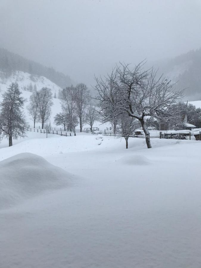 Bio Schartenhof Sankt Johann im Pongau Zewnętrze zdjęcie