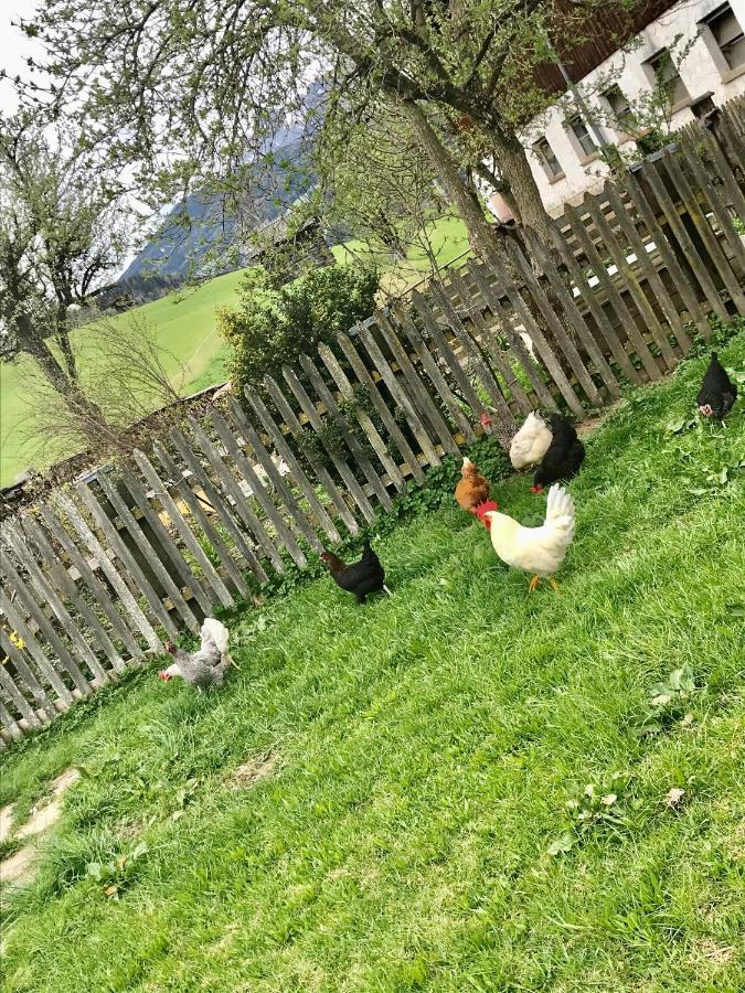Bio Schartenhof Sankt Johann im Pongau Zewnętrze zdjęcie