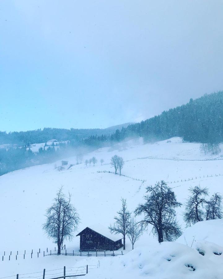 Bio Schartenhof Sankt Johann im Pongau Zewnętrze zdjęcie