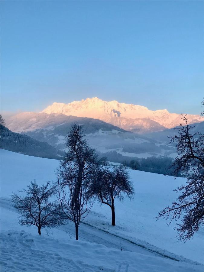 Bio Schartenhof Sankt Johann im Pongau Zewnętrze zdjęcie