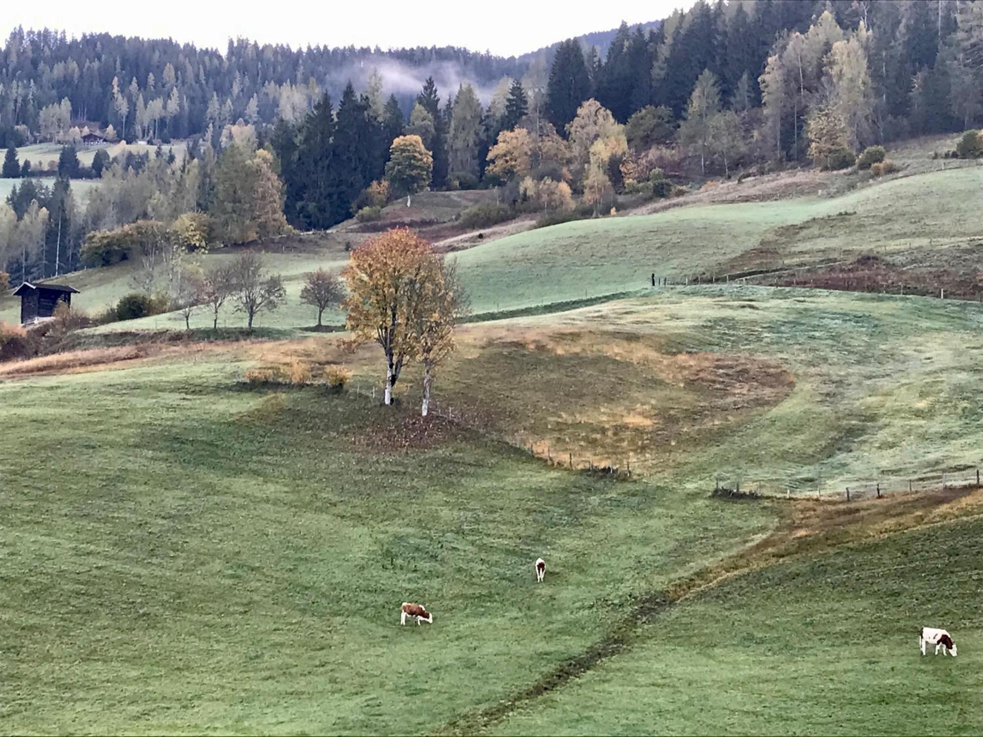 Bio Schartenhof Sankt Johann im Pongau Zewnętrze zdjęcie