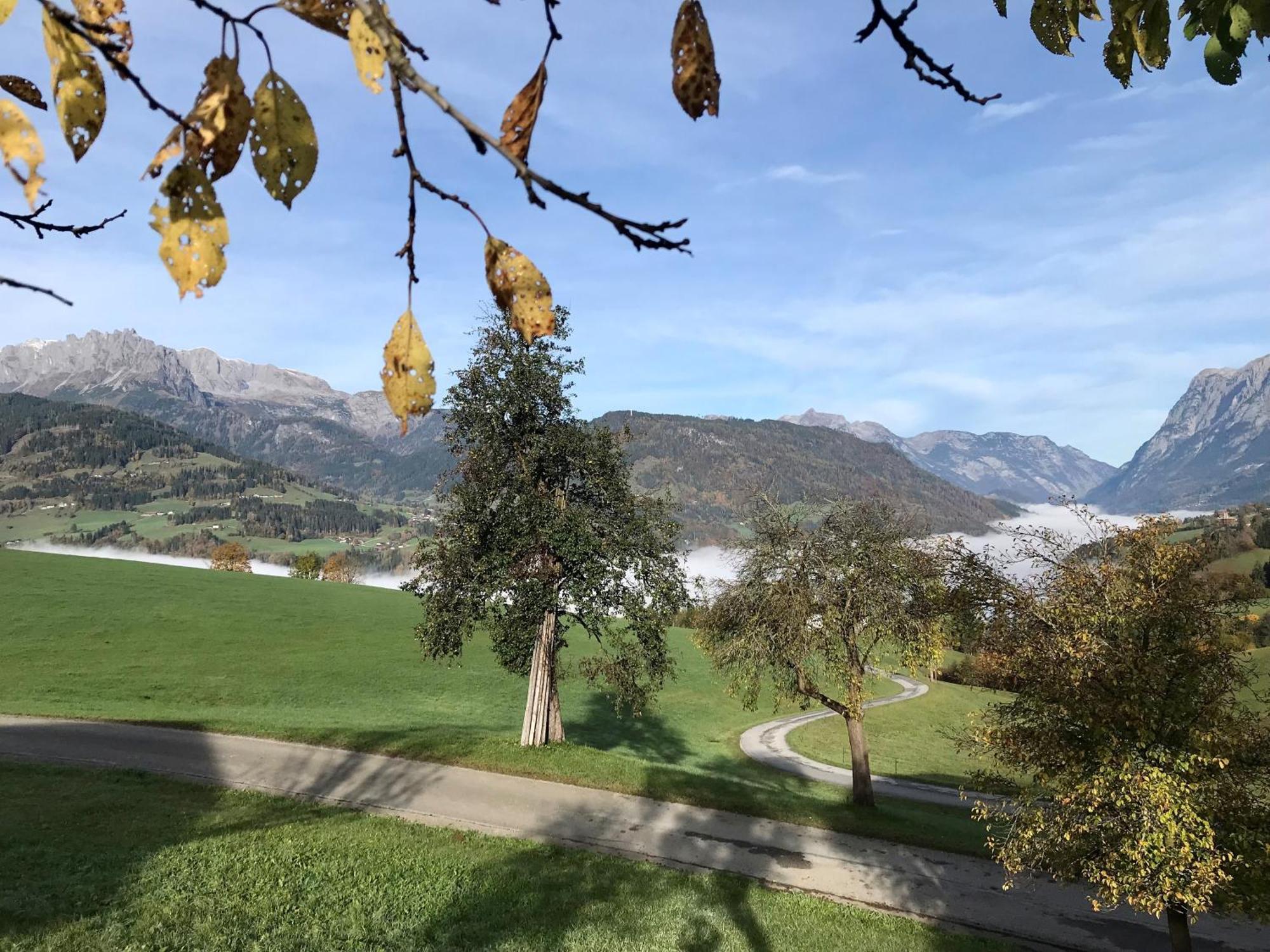 Bio Schartenhof Sankt Johann im Pongau Zewnętrze zdjęcie